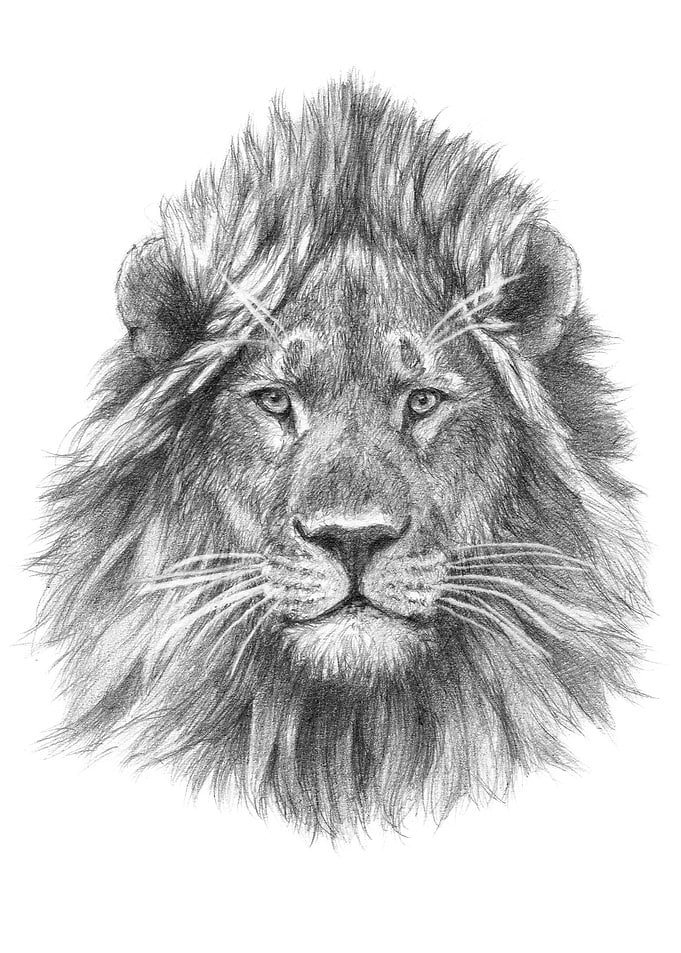 Lion face G21002