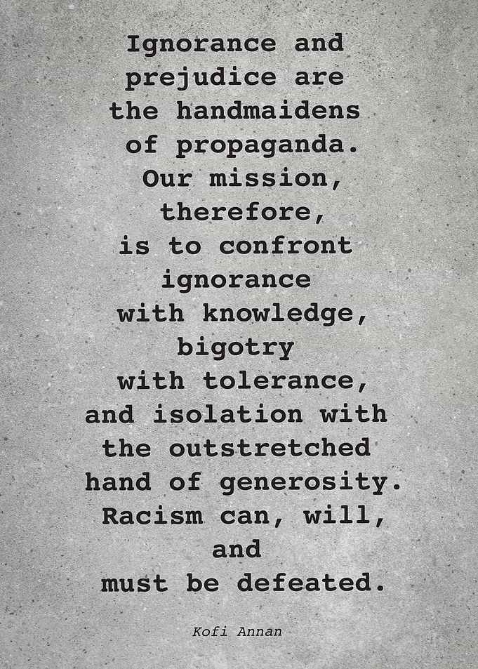 Kofi Annan Quote L012