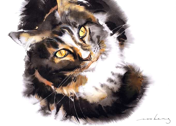 Cat in Wonder