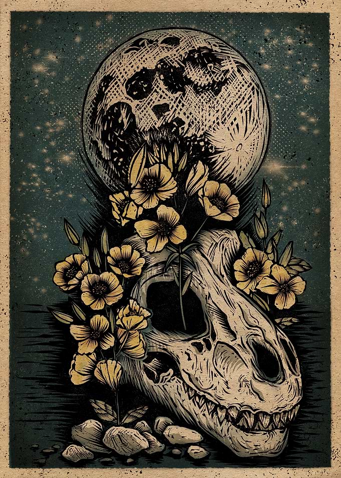 Trex skull