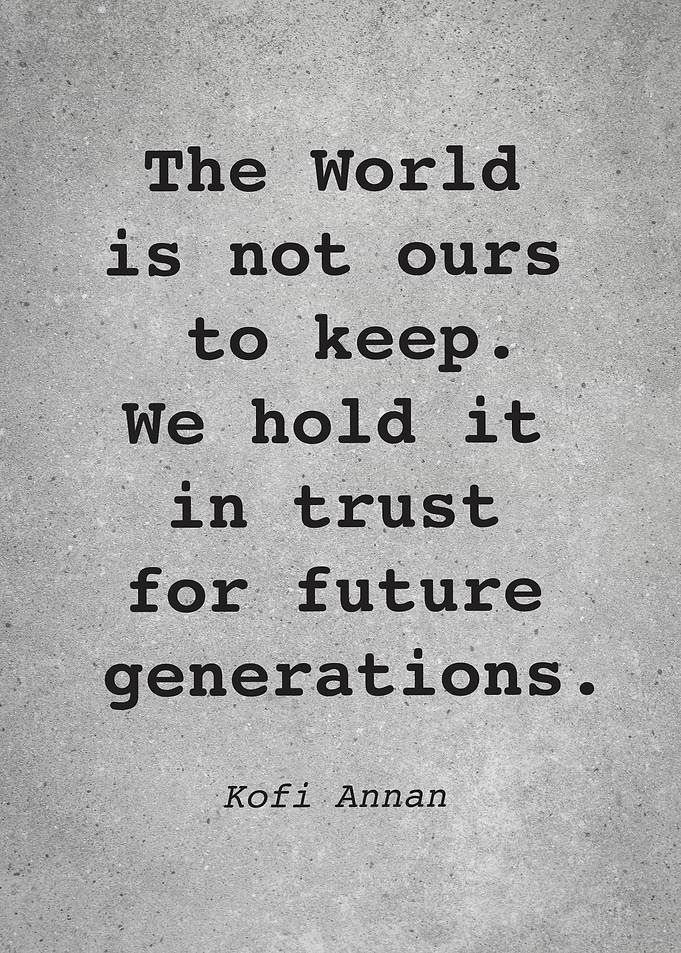 Kofi Annan Quote L021