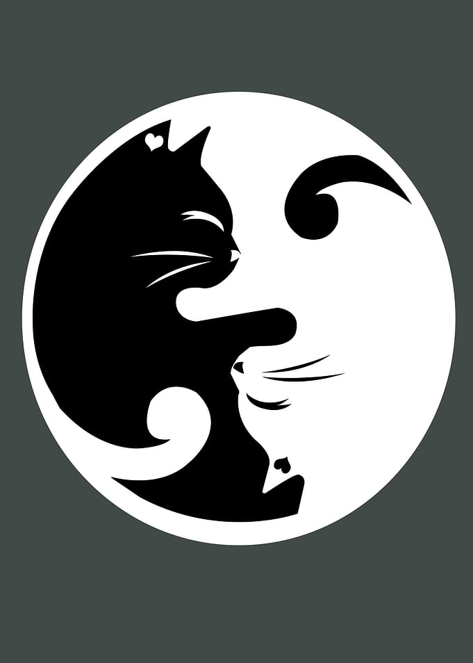 Cats Ying Yang