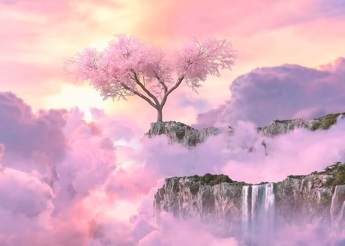 Cherry Blossom Tree