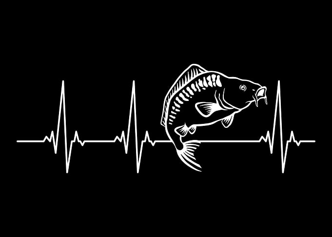 Fishing Carp heartbeat