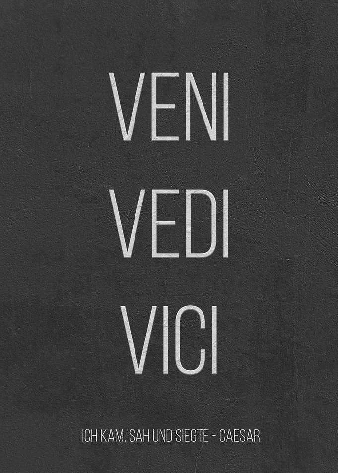 Veni Vedi Vici