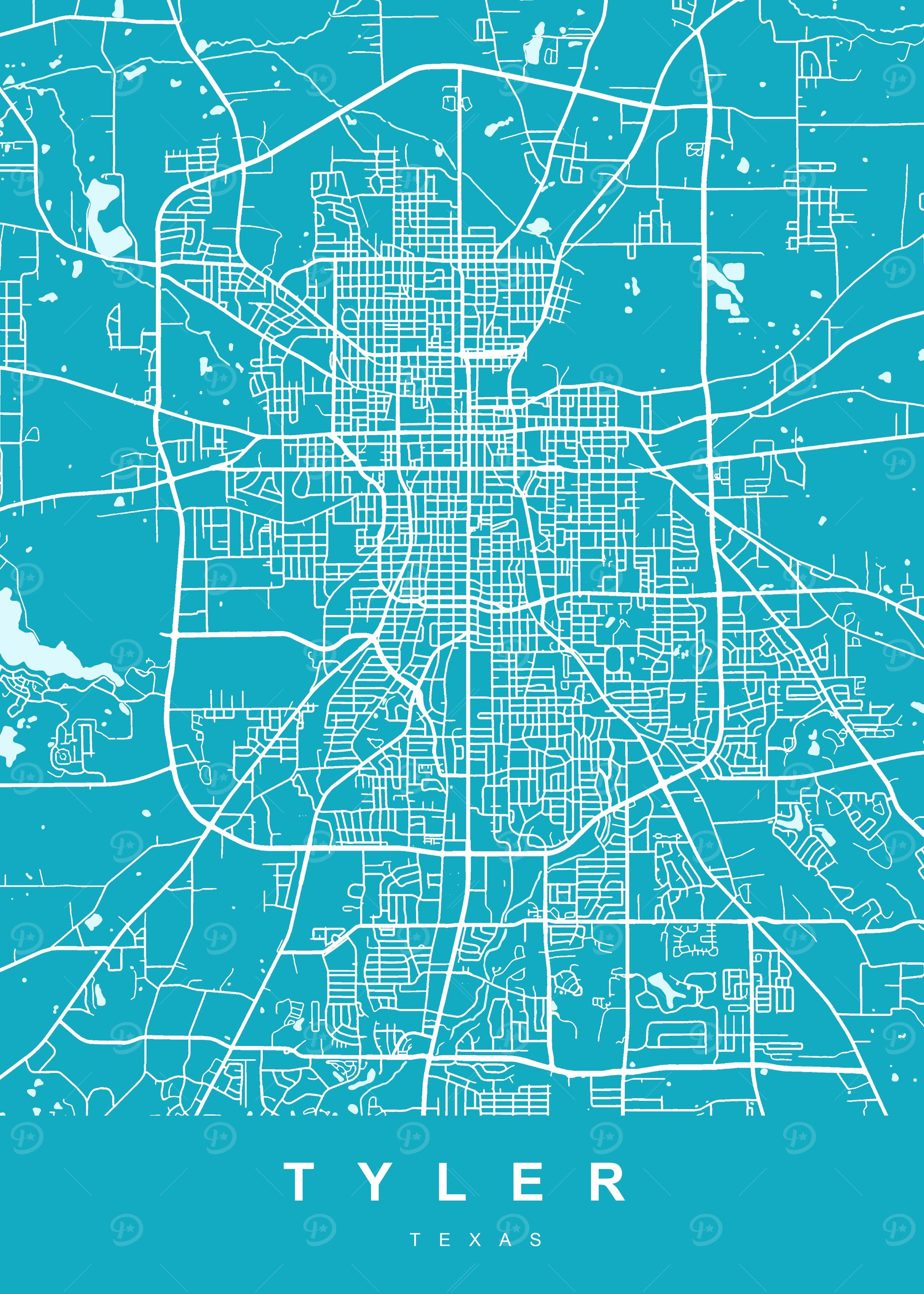 TYLER Art Map Texas