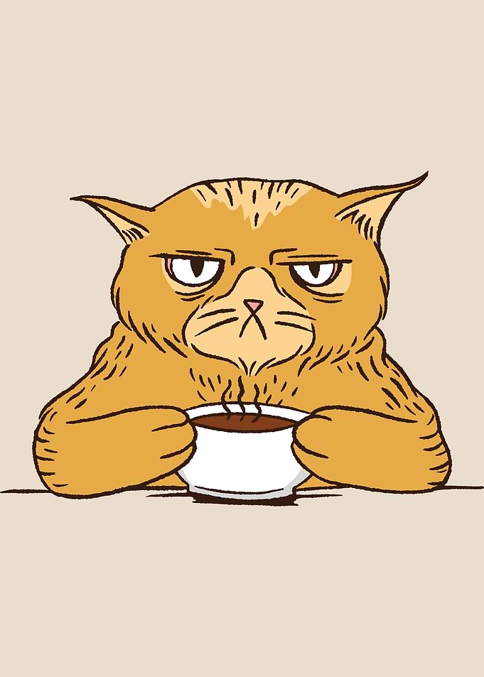 Cat in the morning