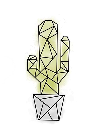 Cactus geo