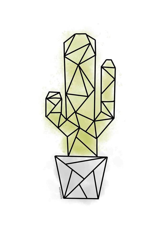 Cactus geo