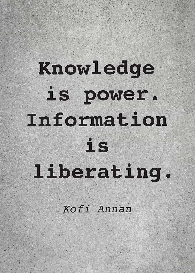Kofi Annan Quote L028