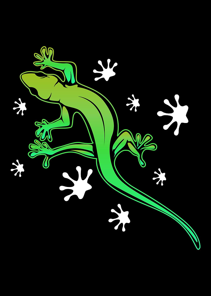 Lizard