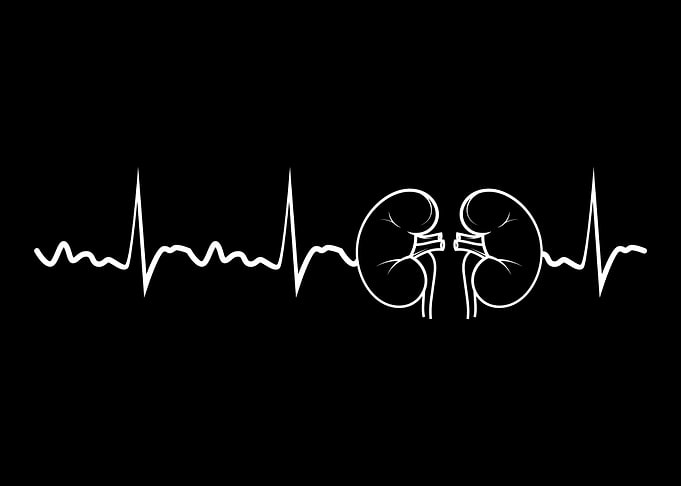 Kidney Heartbeat Nurse Nur