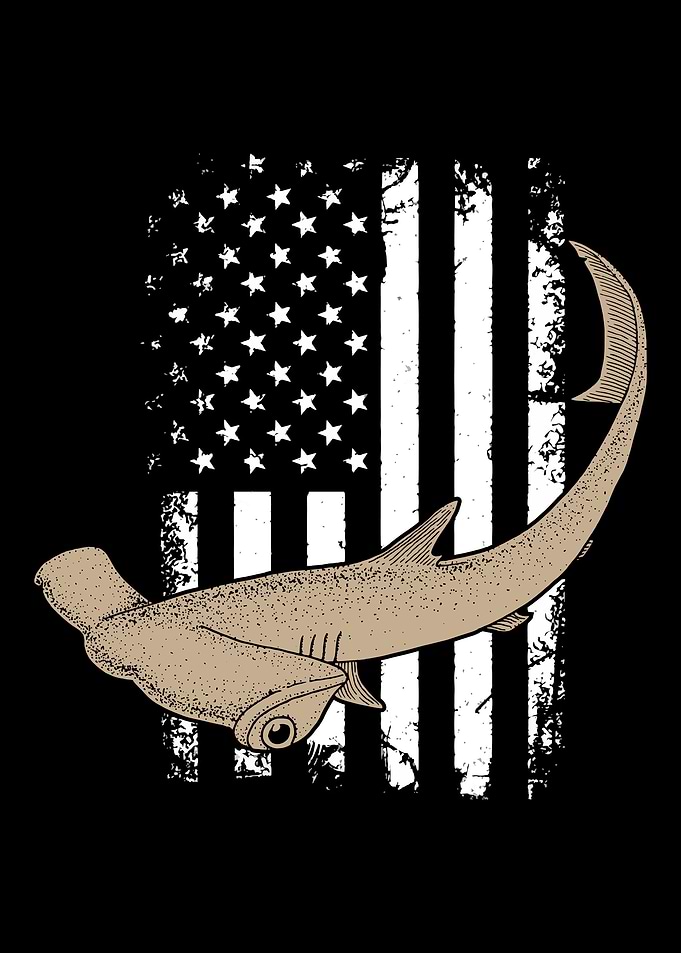 Hammerhead Shark American