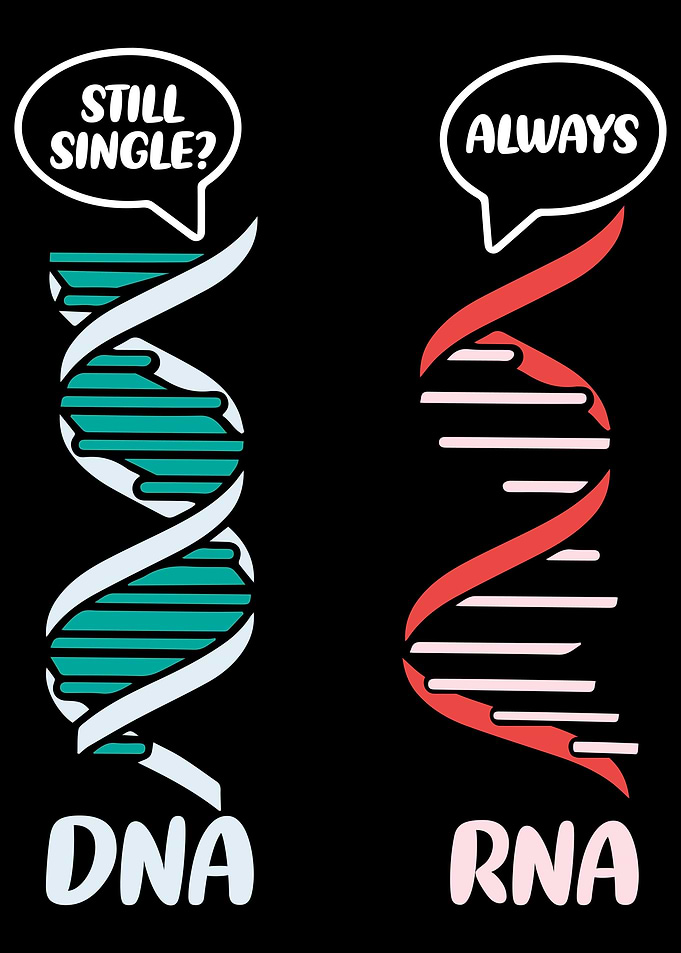 Biology Teacher Biologist