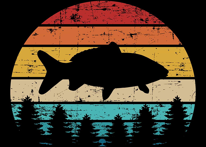 Fishing Carp vintage retro
