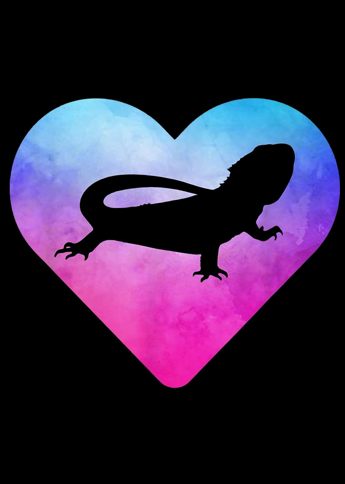 bearded dragon