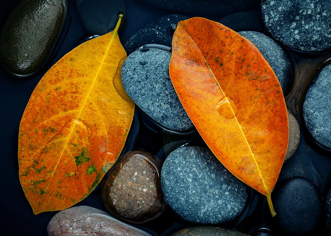zen stones