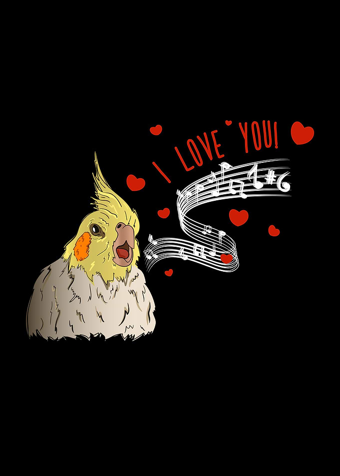 COCKATIEL Birds Meme Funny