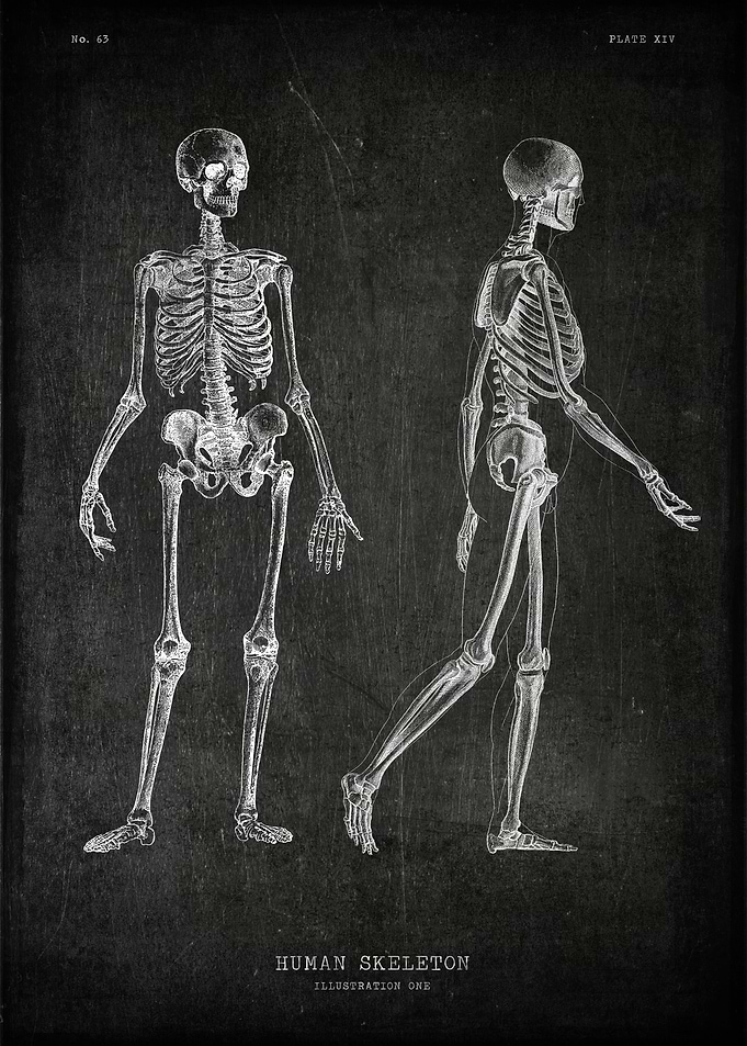 Skeleton chalkboard