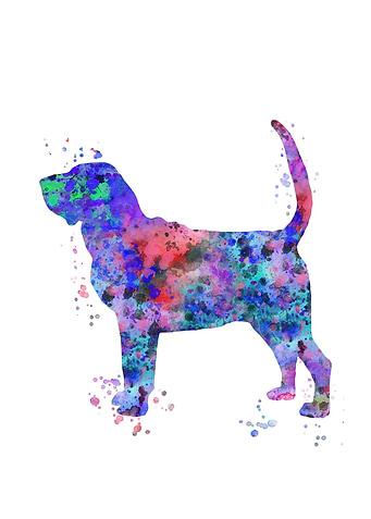Bloodhound