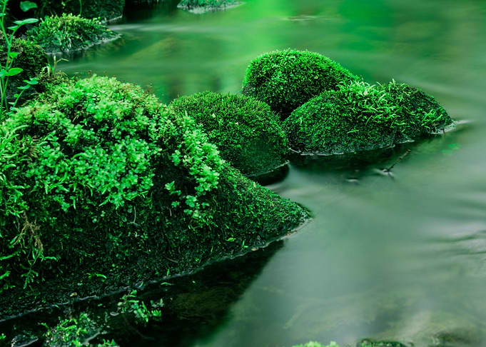 zen stones