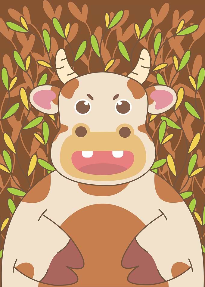 cute cow