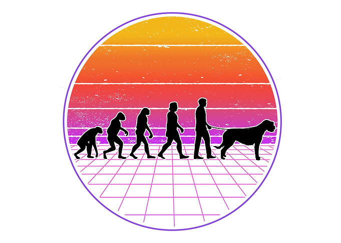 Irish Wolfhound Evolution