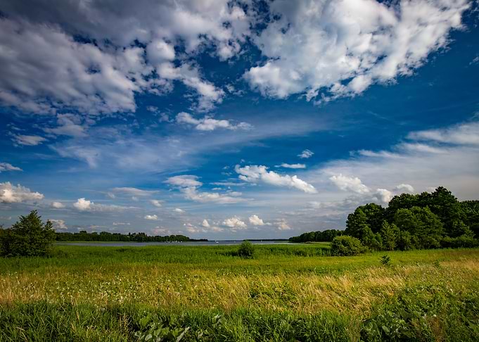 Travel, wildlife, Poland