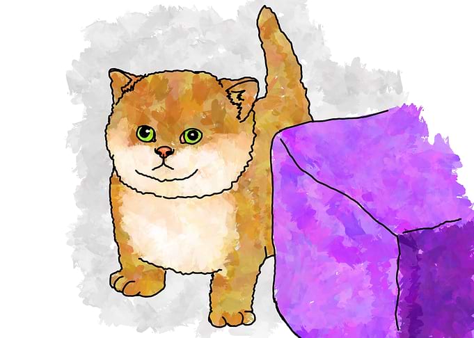 Cute Cat Illustration