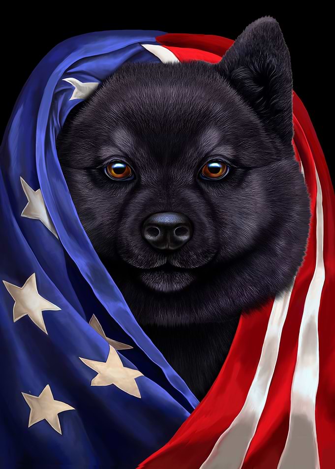 Black Akita USA Patriot