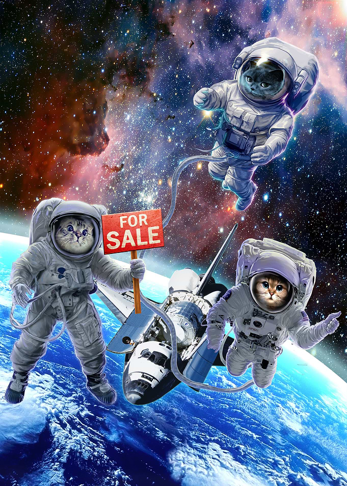 Space Shuttle for Sale