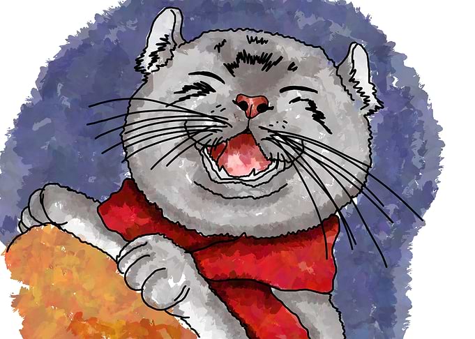 Cute Cat Illustration