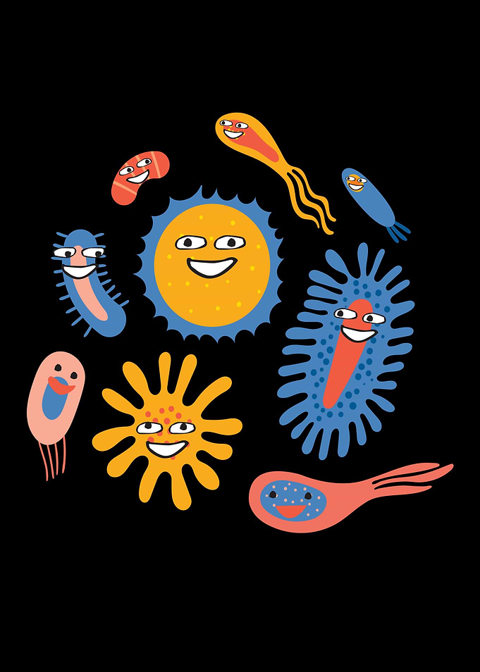 Fun Bacteria