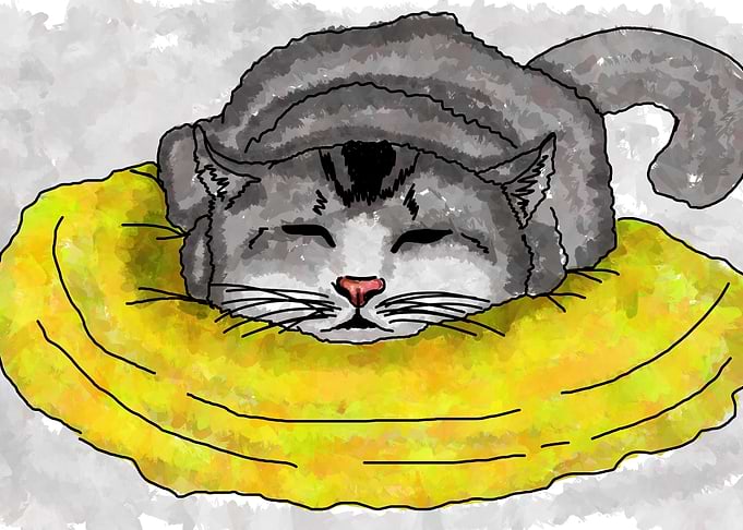 Cute Cat Illustration