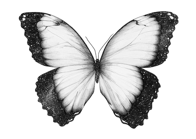 Cosmic Butterfly