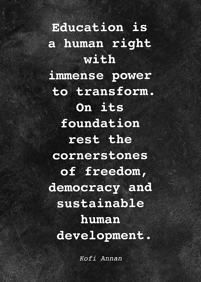 Kofi Annan Quote D011