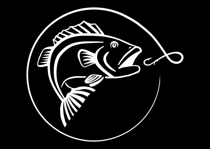 Fishing Rod