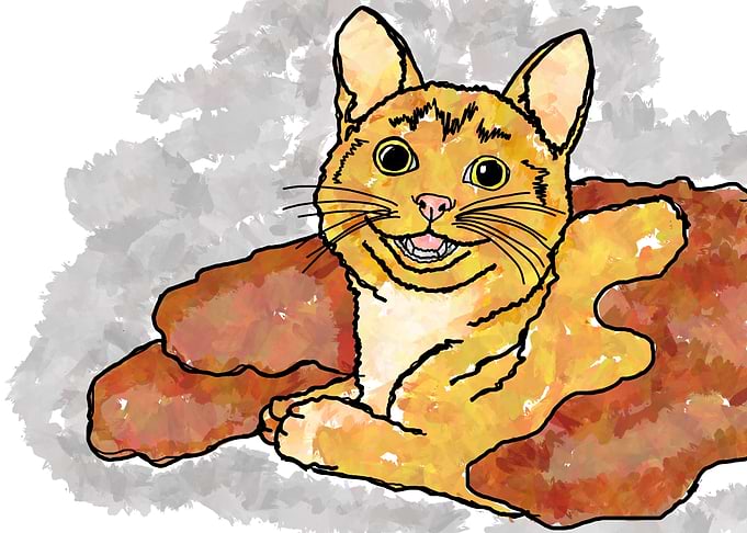 Cute Cat Illustration
