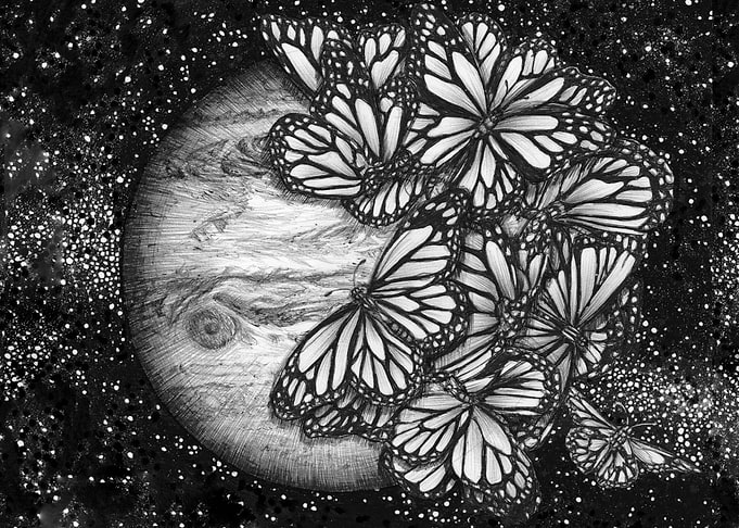 Jupiters Butterflies