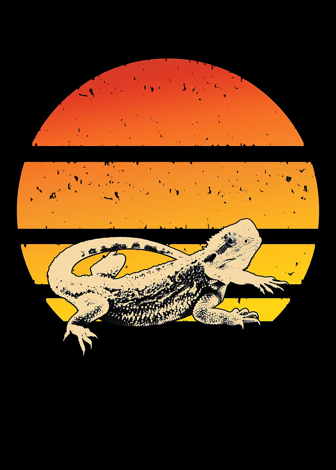 Bearded Dragon Mom Dad I