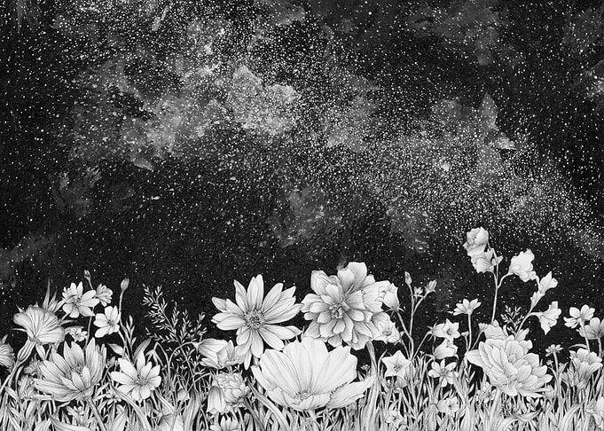 Galaxy in Bloom
