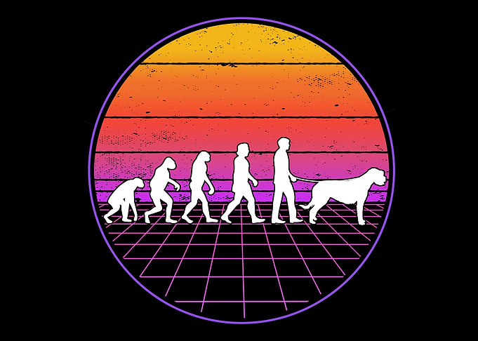 Irish Wolfhound Evolution