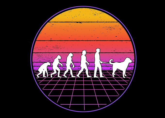 Kangal Evolution Vaporwave
