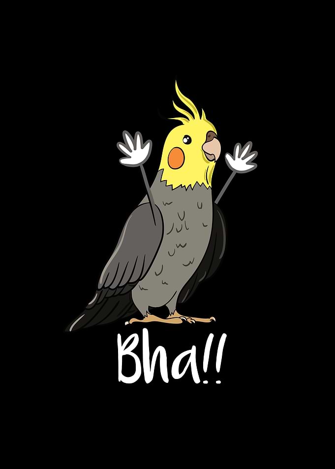 COCKATIEL Birds Meme Funny