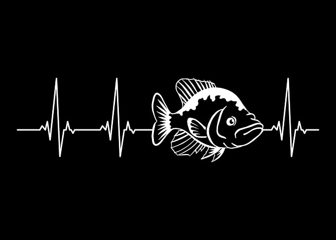 Crappie Heartbeat