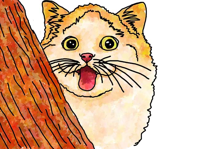 Cute Cat Illustration
