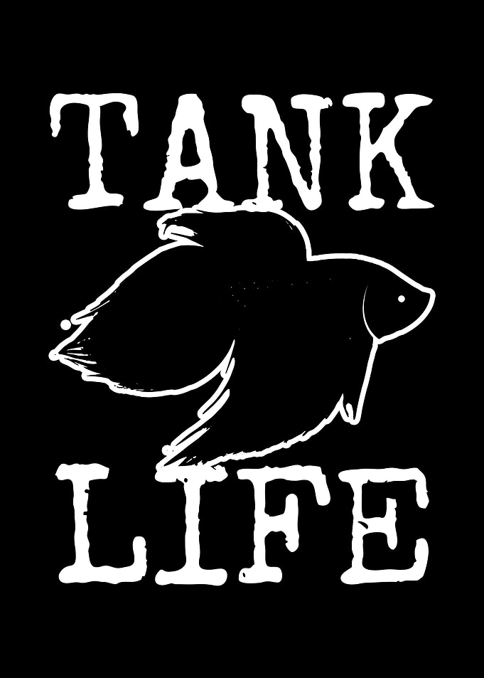 Fish Tank Aquarium