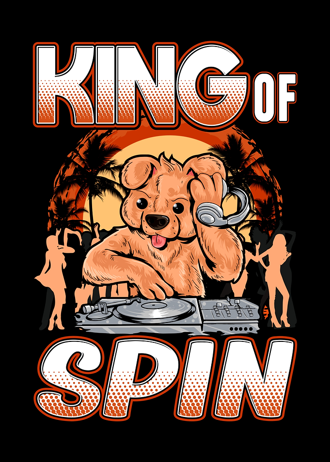 DJ Disc Jokey Turntable