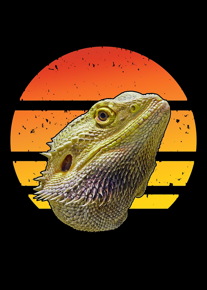 Bearded Dragon Mom Dad I
