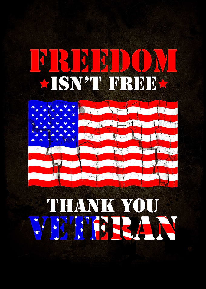 Veteran Soldier Wall Art